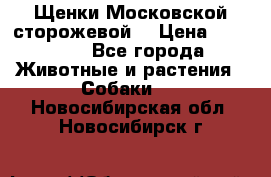 Щенки Московской сторожевой  › Цена ­ 25 000 - Все города Животные и растения » Собаки   . Новосибирская обл.,Новосибирск г.